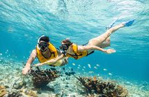 Snorkelling experience for non-swimmers in Cancun
