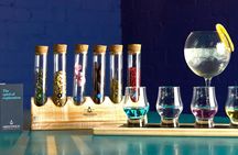Gin masterclass with tasting in London