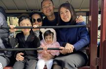 Puffing Billy and Healesville Sanctuary scenic bus tour