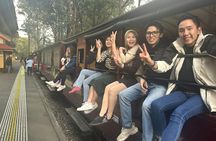 Puffing Billy and Healesville Sanctuary scenic bus tour