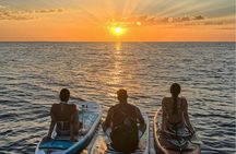 Cala Ratjada stand-up paddle sunrise tour