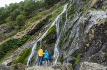 Wicklow, Glendalough, waterfall and sheepdog demo