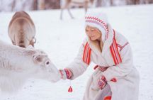 Exclusive reindeer and Sami experience