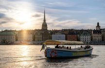 Stockholm electric boat sightseeing tour