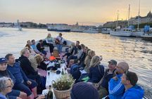 Stockholm electric boat sightseeing tour