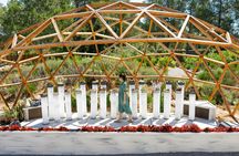 BiBo Park Ibiza's Biotech Botanical Garden tickets and guided tour