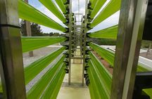 BiBo Park Ibiza's Biotech Botanical Garden tickets and guided tour