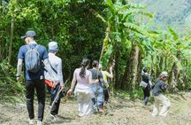 Nha Trang hiking and paragliding adventure with pilot