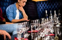 Miraflores and Barranco guided tour with pisco sour demonstration