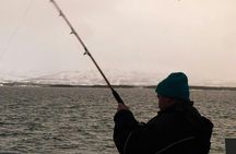 Arctic fishing in Tromsø