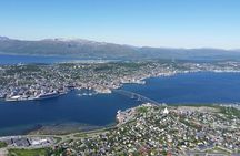 Tromsø fjords and wildlife tour in a minibus