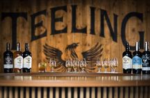 Guided tour of Dublin's Teeling Whiskey Distillery with 3 tastings