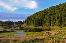 Terceira lava route full-day tour with wine tasting experience