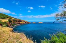 Terceira enchanted bays and Manta de Retalhos guided tour