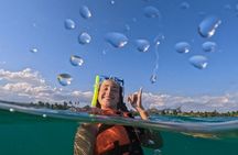 Tulum platinum tour with Akumal Turtles and Nohoch Cenote