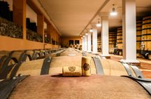 Wine tour with tasting in the Garda Hills