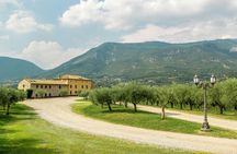 Wine tour with tasting in the Garda Hills