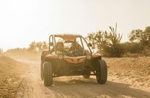 1.5-hour buggy tour in Djerba