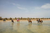 Camel, horse and carriage tour of Djerba's countryside