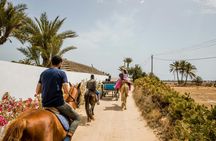 Camel, horse and carriage tour of Djerba's countryside