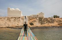 Half-day guided tour of Djerba island
