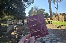 Ostia Antica entry ticket with downloadable audio guide