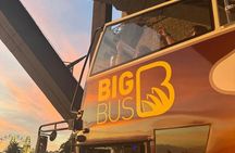 Sydney night open-top double-decker bus tour with guide