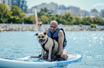 1-hour stand-up paddleboard rental in Bodrum