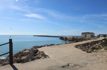Dolphin watching and tour of 2 islands in Ria Formosa
