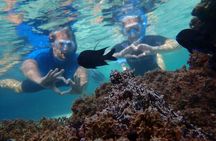 Snorkelling tour in Portugal