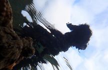 Snorkelling tour in Portugal