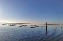 Private boat tour of the Venetian lagoon's hidden gems