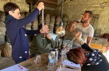 Wine experience in Piedmont