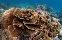 Speedboat Tour to Racha Islands with Snorkel From Khao Lak