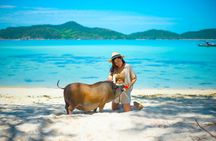 Private Half-Day Longtail Boat Tour to Koh Mat Sum from Koh Samui