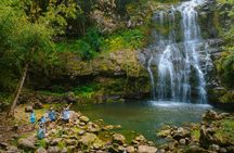 Adventure tour of Kohala waterfalls