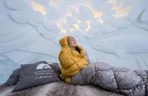 Arctic SnowHotel Guided Tour With Transfer in Rovaniemi