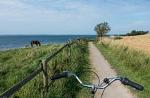 Self-guided tour all around Øresund