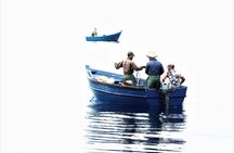 Tarifa whale and dolphin watching tour