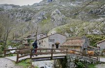 Bulnes, funicular and Cabrales cheese cave from Oviedo