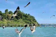 Southern Langkawi island-hopping with local guides