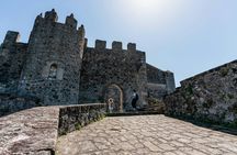 Ribadesella, Llanes and San Vicente de la Barquera tour from Gijon