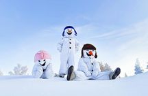 Snowman World day tickets