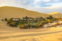 Ica city and region full-day guided tour from Lima