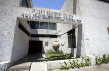 Ica city and region full-day guided tour from Lima