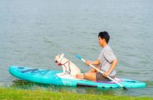 90-minute paddle surf with dog experience in Seville