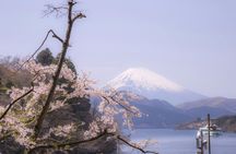 Hakone Guided Tour from Tokyo with Lake Cruise and Ropeway Ride