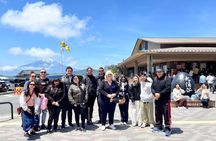 Hakone Guided Tour from Tokyo with Lake Cruise and Ropeway Ride