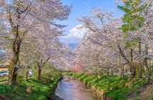 Mount Fuji Sightseeing Day Tour from Tokyo