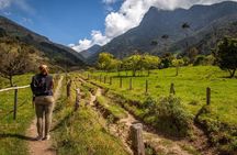 Hiking in Cocora Valley with 4x4 off-road experience